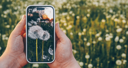 Becoming an iPhone Photography Maestro: Capturing Moments with Artistry